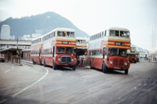 1973 Hong Kong